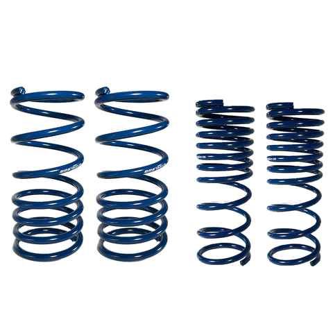 Lowering Springs